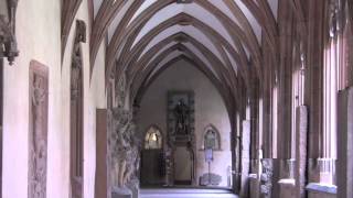 Mainz Cathedral Mainz Rhineland Palatinate Germany  6th August 2014 [upl. by Hilbert202]