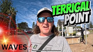 TERRIGAL POINT SURF BIG WAVES SURFING  CENTRAL COAST AUSTRALIA DJI MINI3 [upl. by Yhtorod]