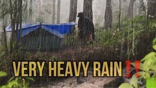 Very Long Heavy Rain By The Creek‼️ Solo Camping in Very Heavy Rain‼️ [upl. by Ahtela]