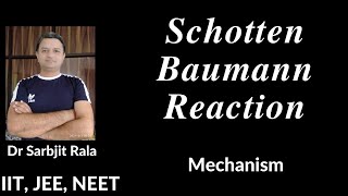 Schotten Baumann Reaction  Mechanism  by Dr Sarbjit Rala For Class 1 2 AIIMS NEET JEE BSc [upl. by Riesman460]