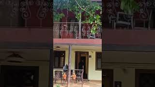 🌲Matheran Resort🌲nature music song tranding trending travel reels music shorts matheran [upl. by Enomis]