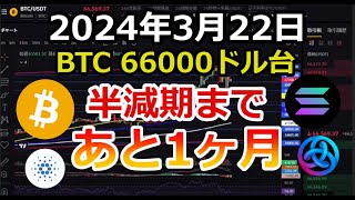 ビットコイン半減期まであと1ヶ月！4月20日前後の予定！ここから押し目からの上昇か？または大きな調整となるのか【2024年3月22日 BTC SOL ADA ASTR 暗号資産 仮想通貨】 [upl. by Li]