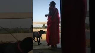 my dogy play aaj to panther Masti mud mi haidoglover plz subscribe my channel funnyojhasvideo [upl. by Ledairam918]