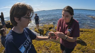 UMaine students meet early as part of longstanding program [upl. by Ahtamas]