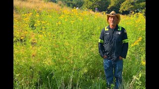 Untermyer Gardens Conservancy Meadow Making With Timothy Tilghman [upl. by Elyrrad]