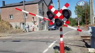 Station Barvaux ontvangt Desiro 08523  Canicule en gare de Barvaux [upl. by Haggai388]