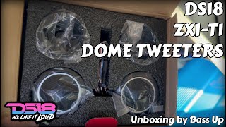 Are these 38 Tweeters the BEST Stock Upgrade ⚡  Unboxing the DS18 ZXIT1 Dome Tweeters  🔊 [upl. by England]