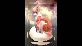 Tapety dla fanów Jasnego Serca warriorcats kawkayt zemstabs łapymocy cat art cute roblox [upl. by Ehcrop]