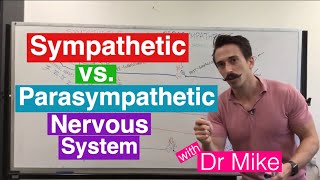 Sympathetic versus Parasympathetic Nervous System  Nervous System [upl. by Maxama]