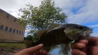 Carpentersville dam removal affect at Fox river shores 92924 [upl. by Isidoro928]