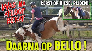 Ik begon OP PAARD DIESEL Dat ging NIET LEKKER Toen op BELLO Die BOKTE even LEUKE LES 3464 [upl. by Kenward]