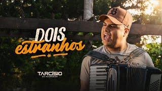 DOIS ESTRANHOS  Tarcísio do Acordeon Clipe Oficial [upl. by Boaten]