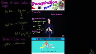 Transpiration in Plants I Homeostasis in Plants I Biology lecture 12 I transpiration biology [upl. by Herra]