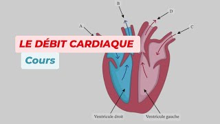 LE DEBIT CARDIAQUE [upl. by Arnie]