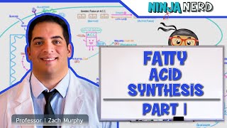 Metabolism  Fatty Acid Synthesis Part 1 [upl. by Homerus]