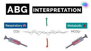 ABG Interpretation  Understanding Arterial Blood Gas Analysis  OSCE Guide  UKMLA  CPSA [upl. by Noicpesnoc]