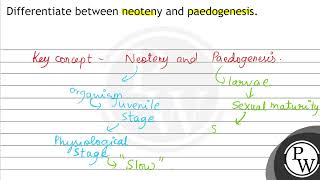 Differentiate between neoteny and paedogenesis [upl. by Janeczka]