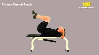 Reverse Crunch Bench Exercise [upl. by Derrik891]