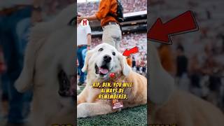 💔 Kirk Herbstreits dog passes away RIP Ben Forever in our hearts 🐶🕊️ ncaafootball [upl. by Llibyc625]