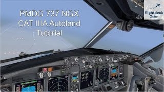 How to Autoland a Boeing 737  REAL BOEING PILOT  PMDG 737  CAT III ILS [upl. by Wanids126]