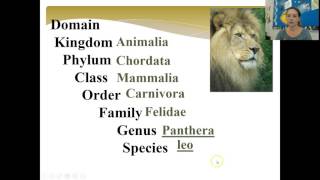 Classification of Living Things [upl. by Haleemak]