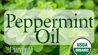 Peppermint Essential Oil All You Ever Need To Know [upl. by Jacklyn]