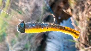 How to Fish Ned Rigs for Big Smallmouth Bass [upl. by Ikiv495]