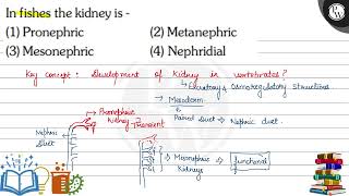 In fishes the kidney is  1 Pronephric 2 Metanephric 3 Mesonephric [upl. by Ynnob]