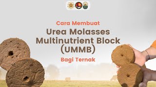 Cara Membuat Urea Molasses Multinutrient Block UMMB bagi Ternak [upl. by Divan]