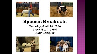 2024 AMP Livestock Expo Informational Presentation [upl. by Adianes]