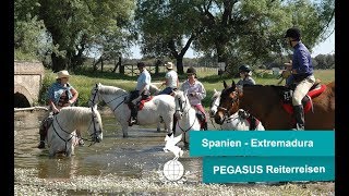 Reiturlaub Spanien  Conquistadores Ritt ðŸŽ ðŸŒž [upl. by Photina]