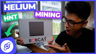 Helium Mining HNT Bobcat Miner 300 Unboxing amp How to Setup [upl. by Hayne68]