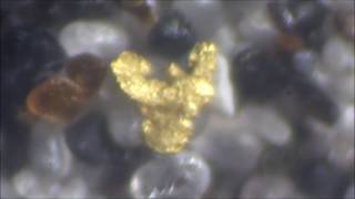 gold lamproite saprolite [upl. by Alysia34]