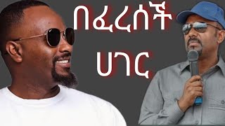 ሳሚ ዳን በፈረሰች ሐገር  SAMI DAN BEFERESECH HAGER  NEW ETHIOPIA REGGAE MUSIC [upl. by Hemingway133]