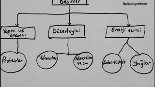 4sınıf fen bilimleri besinler Bulbulogretmen 4sınıf fen fenbilimleri [upl. by Dola357]