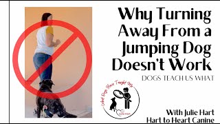 Why Turning Away from a Jumping Dog Doesnt Work  and How to Modify it to Work [upl. by Noach]