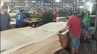 Paraguayan customer plywood factory Plywood Glue Spreader Machine [upl. by Hteik624]