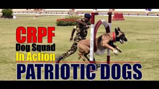 CRPF Warrior Dogs Astonishing Performance on 79th Raising Day [upl. by Eylatan]