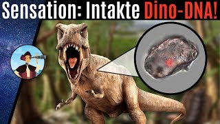 Erste DinoDNA gefunden Wird Jurassic Park jetzt möglich 2020 [upl. by Andee]