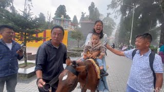 Darjeeling chawrasta ma laaj paryo mo😂trending viralvideo dailyvlog travel darjeeling [upl. by Breech637]