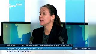 Le journal international  Lactualité internationale du jeudi 14 novembre 2024  TV5MONDE [upl. by Trebron]