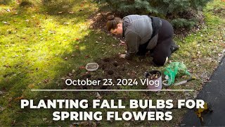 Planting Fall Bulbs for Spring Flowers [upl. by Alanna]