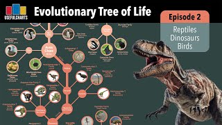 Evolutionary Tree of Life  Episode 2  Reptiles amp Birds [upl. by Fielding]