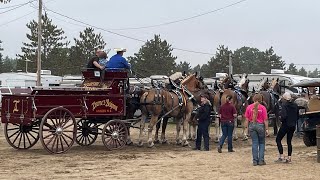 8 Horse Hitch Competition at Fryeburg Fair 2023 [upl. by Mimajneb]