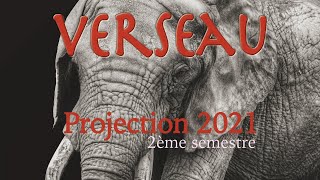 VERSEAU  Projection 2021 2ème semestre [upl. by Polik531]