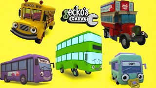 Counting Five Big Buses  Geckos Garage  Educational Videos For Toddlers  Buses For Children [upl. by Akimrehs]