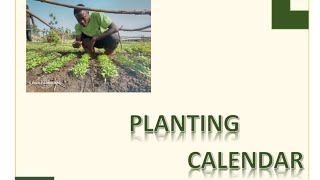 I Called it the Magic Calendar Planting Calendar that leads you to Earn big in all season Ep 1amp2 [upl. by Bertha]