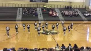 WTHS Varsity Devilettes Sectionals 2017 [upl. by Aicirtap]