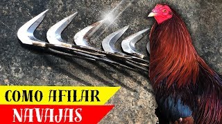 Como se afilan las navajas para gallos [upl. by Ahsatel]