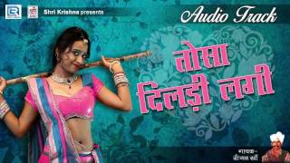 तोसा दिलड़ी लगी  Bijal Khan  Traditional Folk Song  Full Rajasthani Audio Track [upl. by Ellehcal]